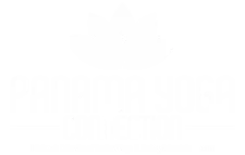Panama Yoga connection